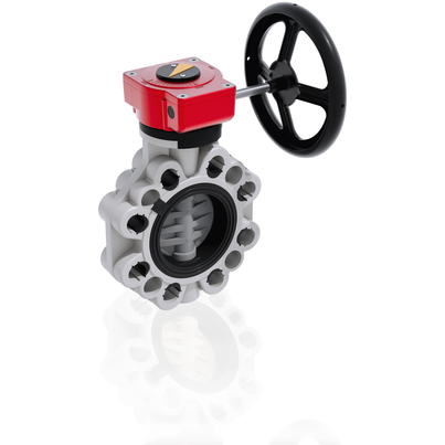 FKOC/RM - Butterfly valve DN 40:300