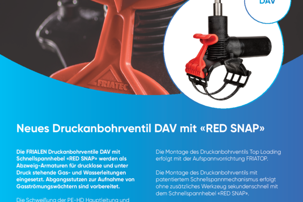 Flyer FRIALEN DAV (dt)